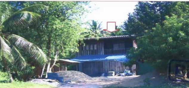 ปากู ทุ่งยางแดง ปัตตานี